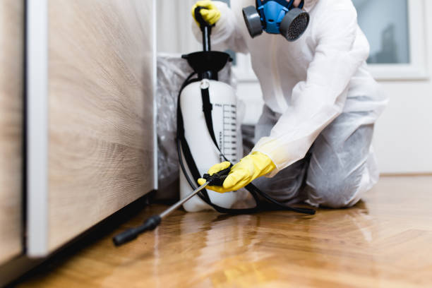 Best Pest Control for Restaurants  in Exmore, VA