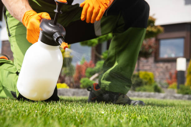 Best Insect Control  in Exmore, VA