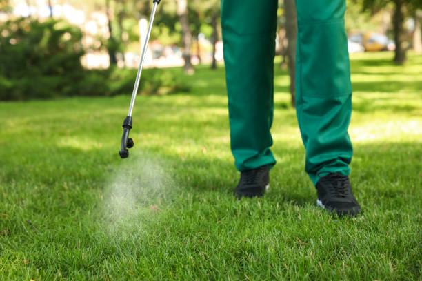 Best Pest Control Near Me  in Exmore, VA