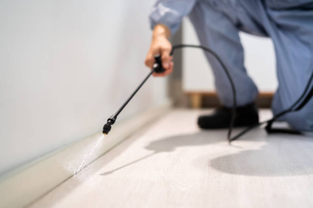 Flea Control Services in Exmore, VA