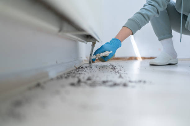 Best Best Pest Control Companies  in Exmore, VA